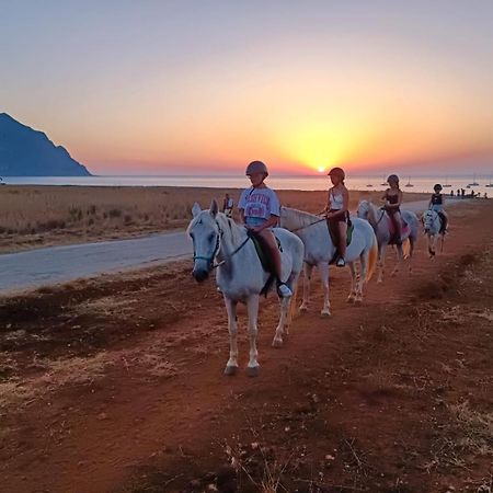 L'Oasi Una Pineta Sul Mare กุสโตนาชี ภายนอก รูปภาพ