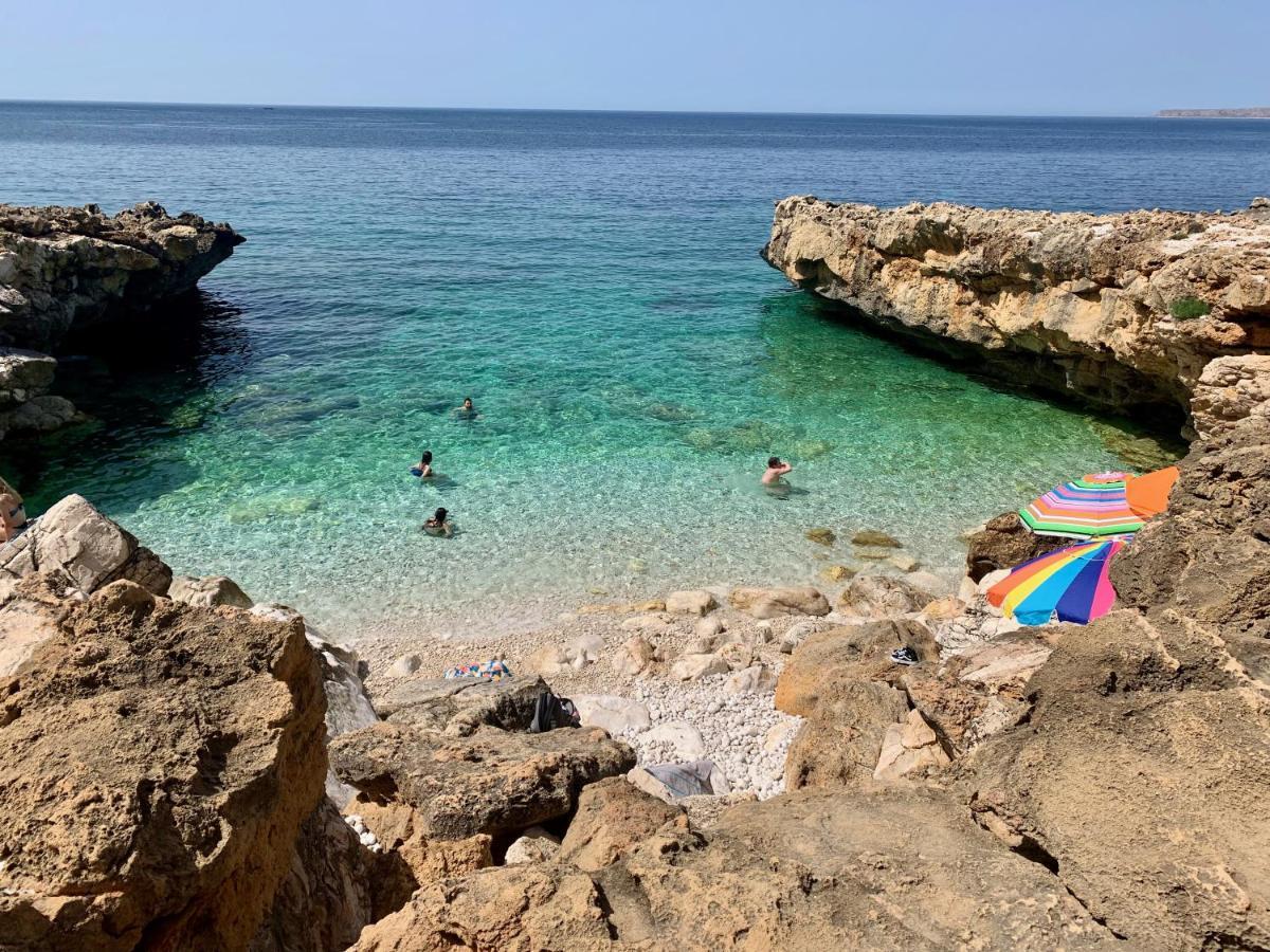 L'Oasi Una Pineta Sul Mare กุสโตนาชี ภายนอก รูปภาพ