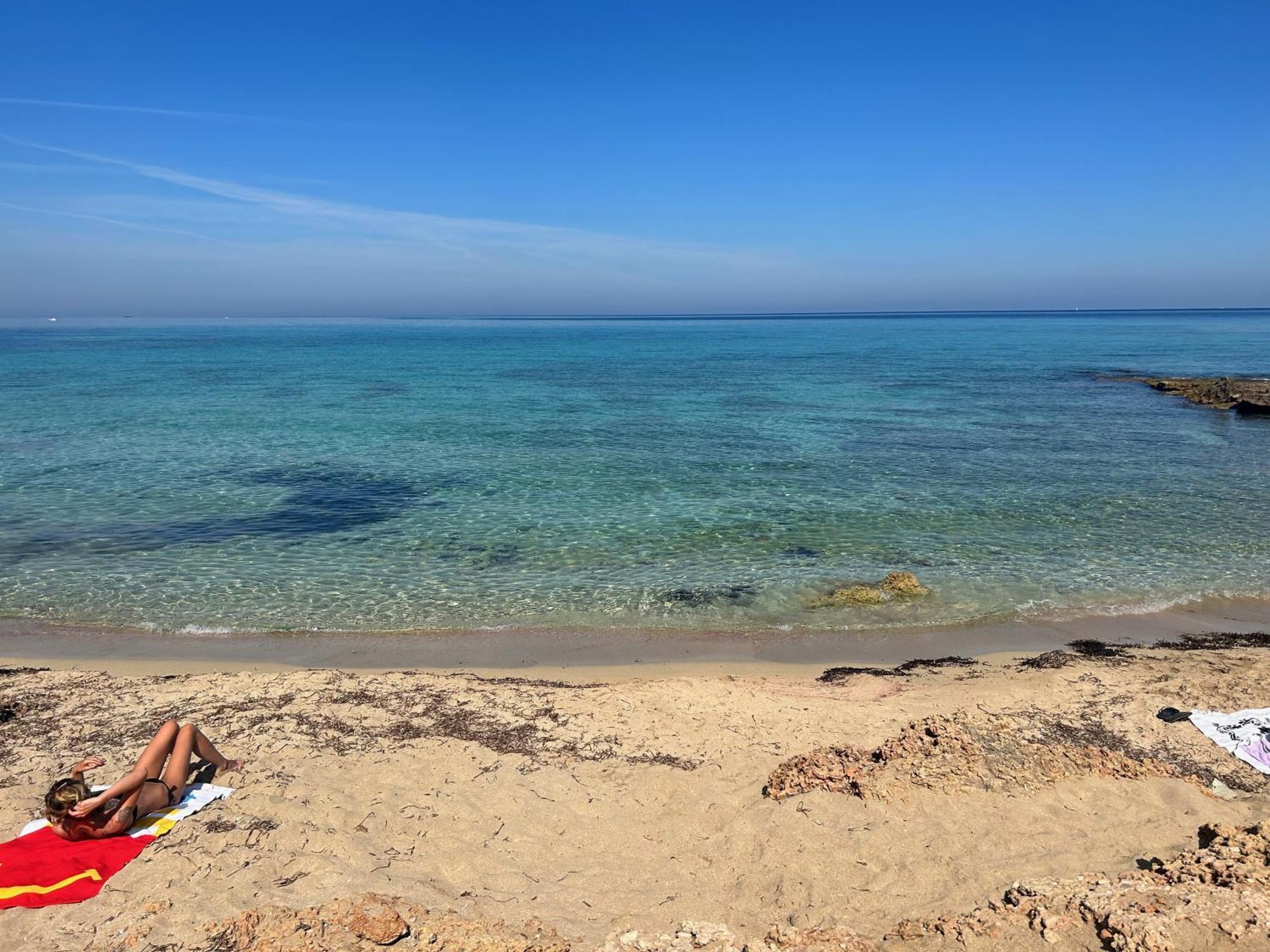 L'Oasi Una Pineta Sul Mare กุสโตนาชี ภายนอก รูปภาพ
