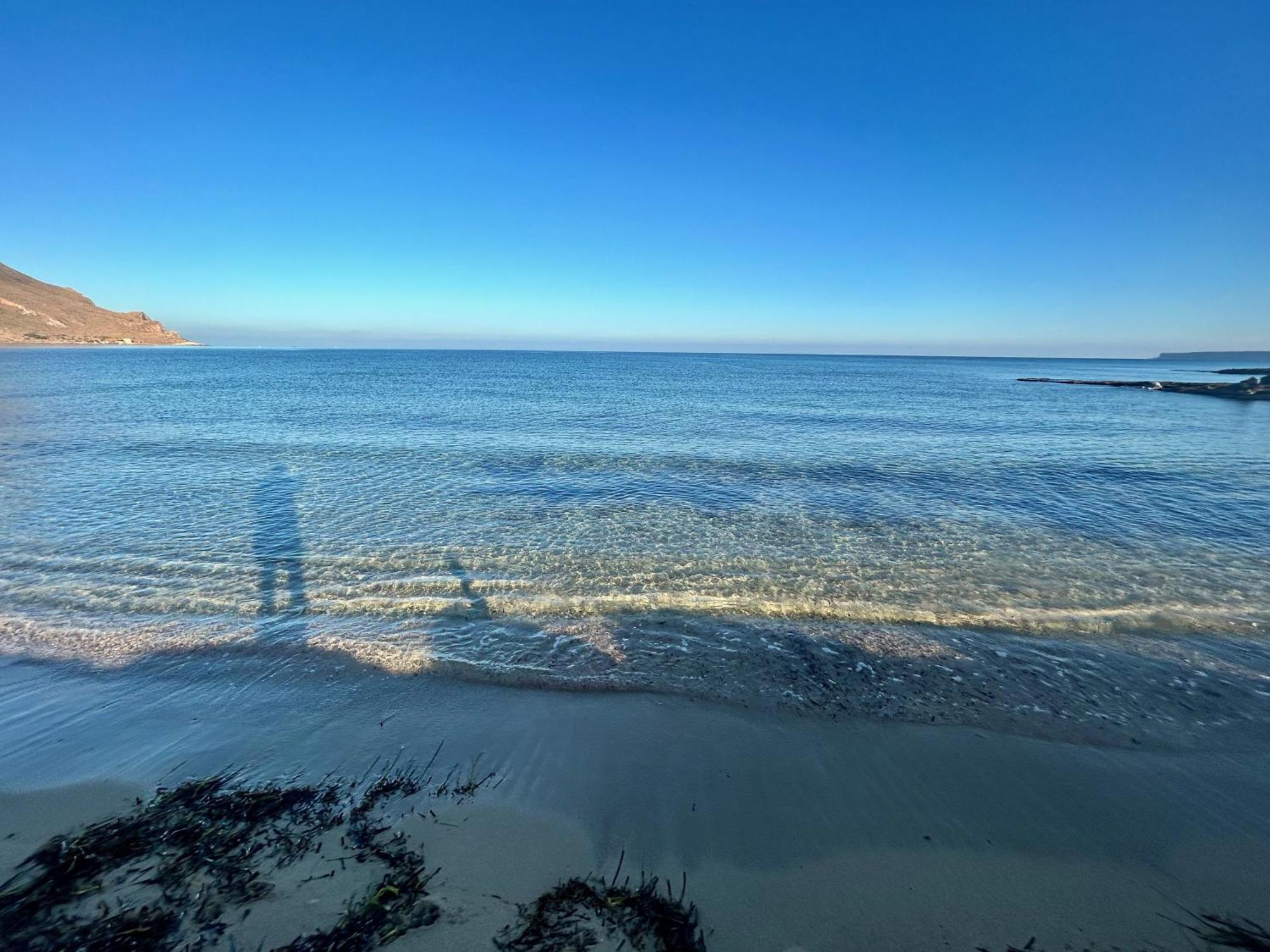 L'Oasi Una Pineta Sul Mare กุสโตนาชี ภายนอก รูปภาพ