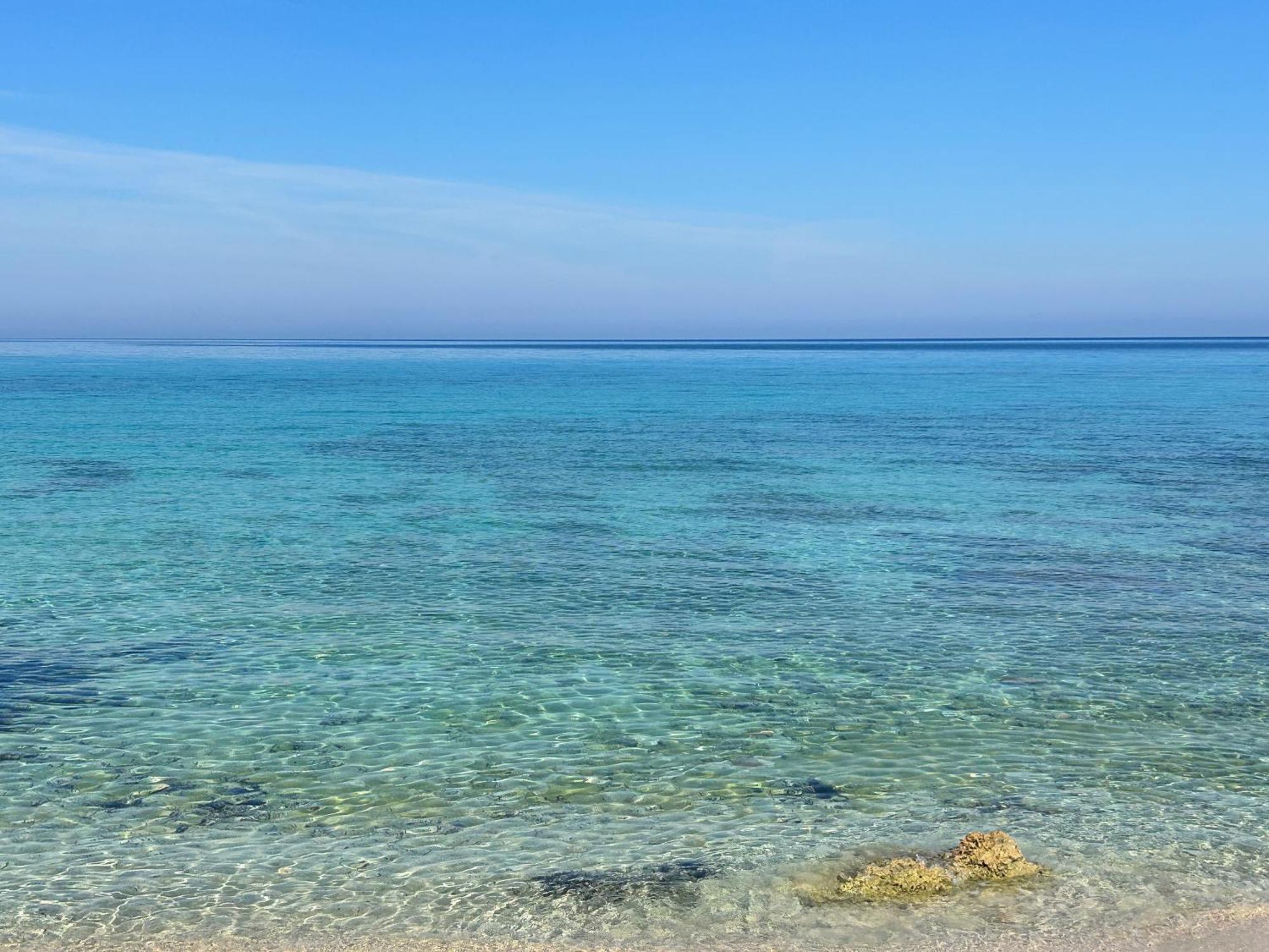 L'Oasi Una Pineta Sul Mare กุสโตนาชี ภายนอก รูปภาพ