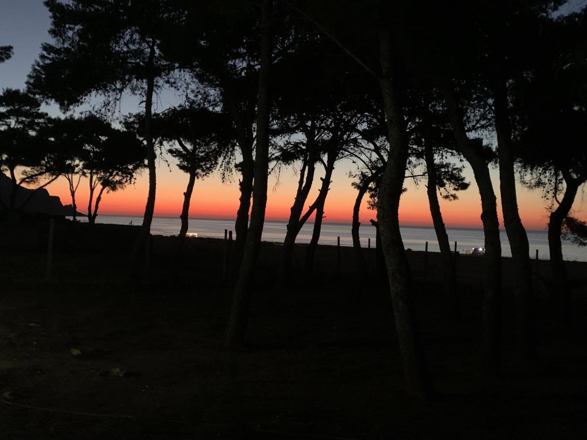 L'Oasi Una Pineta Sul Mare กุสโตนาชี ภายนอก รูปภาพ